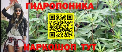 соль ск Будённовск