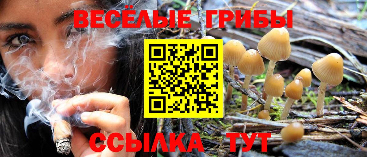 Галлюциногенные грибы Magic Shrooms Рязань