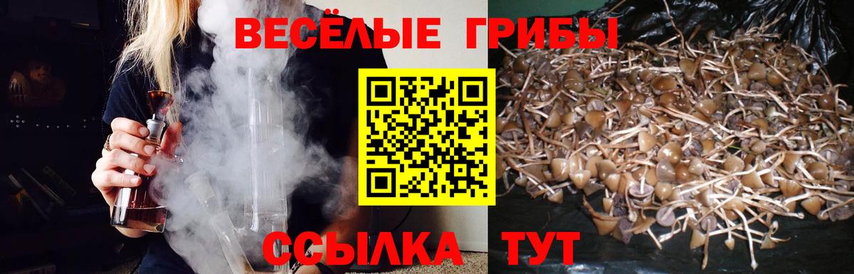 Рязань  Галлюциногенные грибы GOLDEN TEACHER  Вход с VPN 
